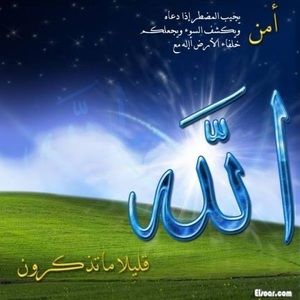 Meet your Posher, Maher